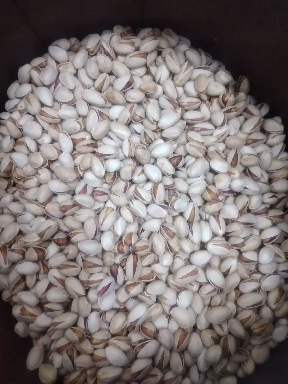 پسته احمد آقایی|خوردنی و آشامیدنی|حمیدیا, |دیوار