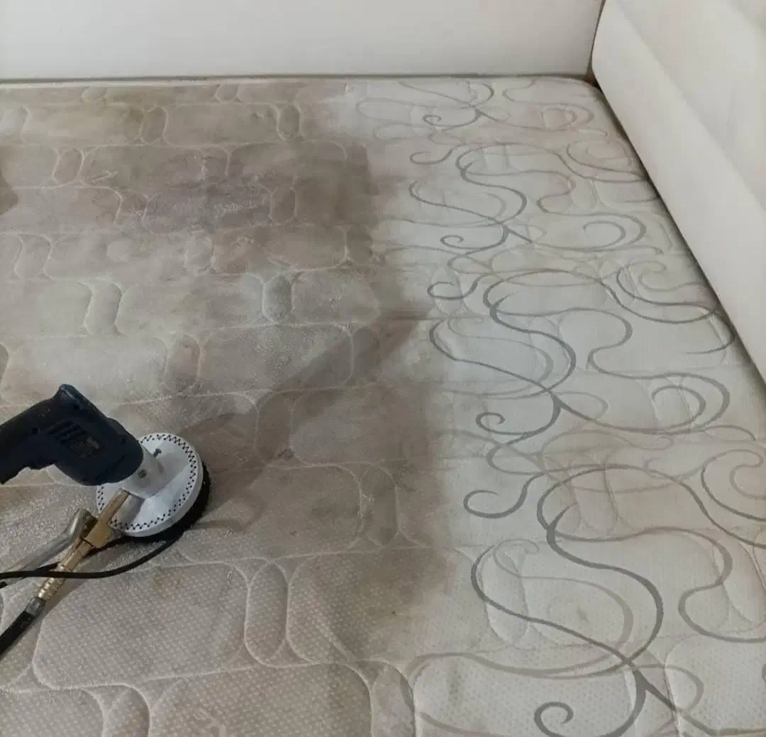 شستشوی تخصصی مبل با مواد نانوسان|خدمات نظافت|بندرعباس, |دیوار