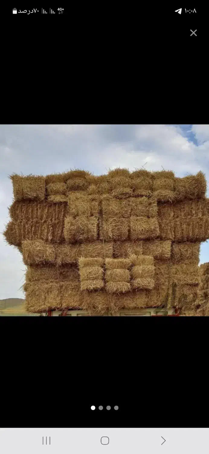 علوفه کاه|عمده‌فروشی|شهرکرد, |دیوار