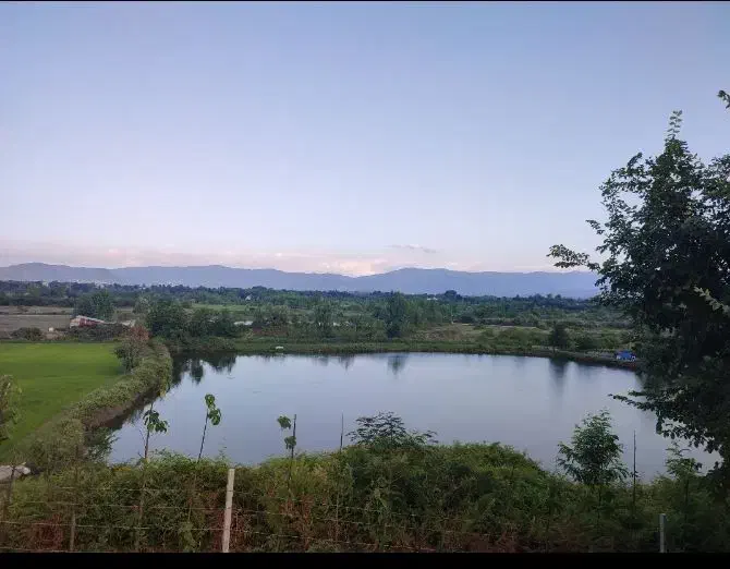 اجاره استخر ماهی ۳ هکتار برجاده /سوددهی عا،لی|فروش دفتر صنعتی، کشاورزی، تجاری|شفت, |دیوار