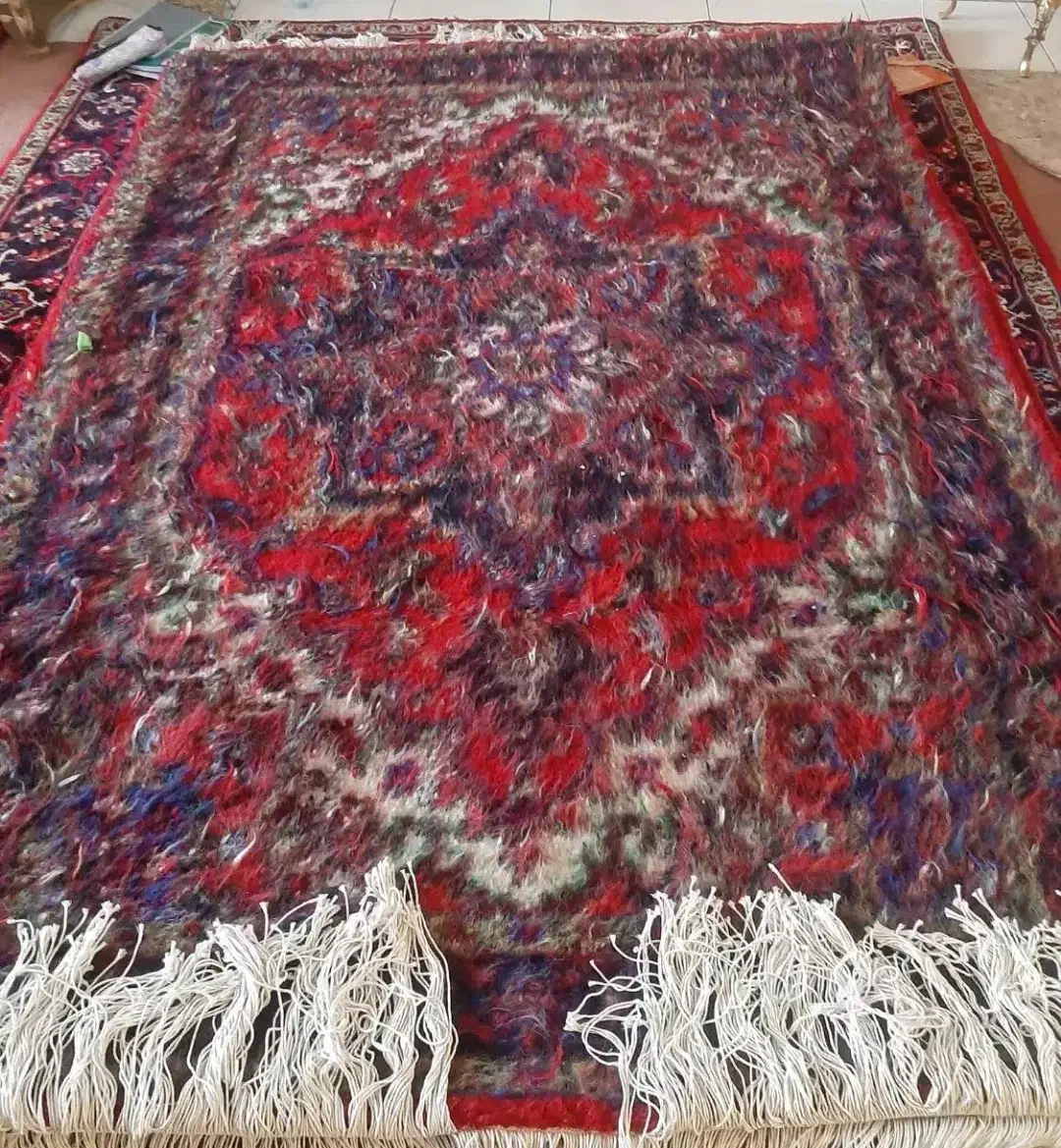 قالیچه دستبافت هریس تاجری یک قطعه|فرش|تبریز, |دیوار