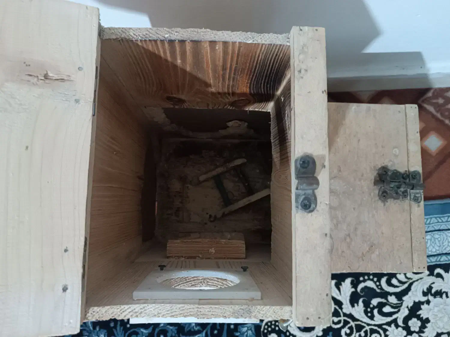 لانه ال شکل  طوطی ملنگو|لوازم جانبی حیوانات|بیرجند, |دیوار