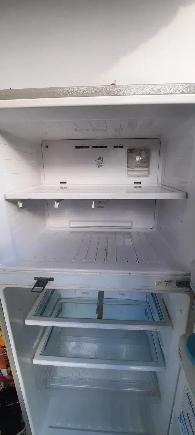 یخچال و فریزر مارک دوو|یخچال و فریزر|آستارا, |دیوار