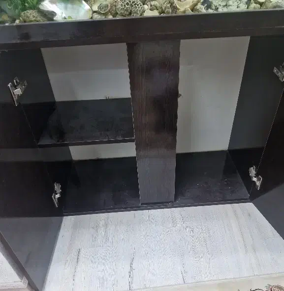 اکواریوم|ماهیگیری|مشهد, عامل|دیوار