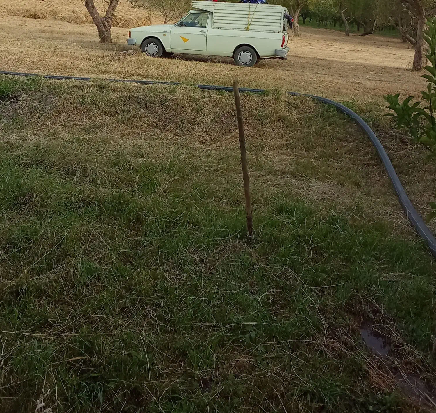 پیکان بار دوگانه شرکتی بی رنگ|خودرو سواری و وانت|نظر کهریزی, |دیوار