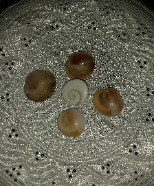 مهره ما.ر|زیورآلات و اکسسوری|کنارک, |دیوار