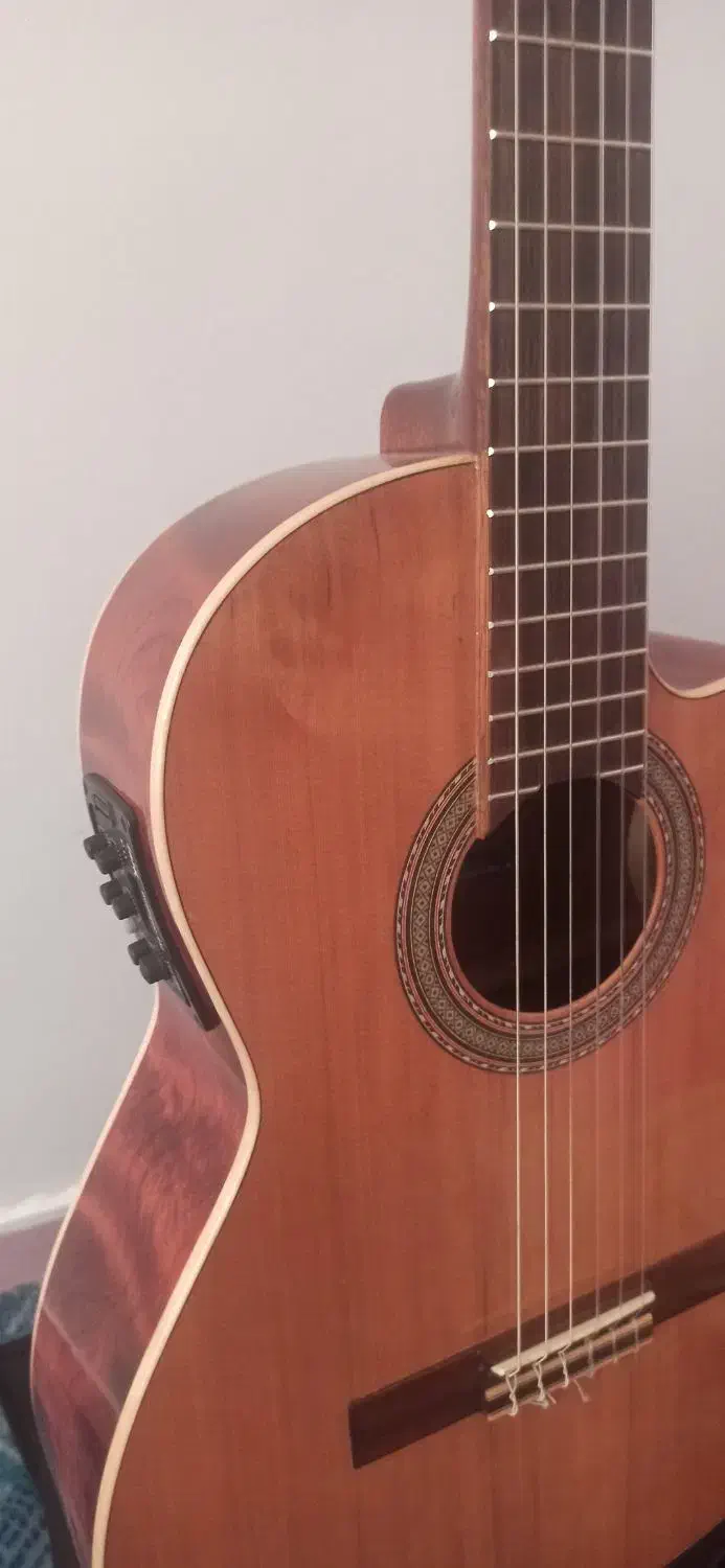 گیتار|گیتار، بیس، امپلیفایر|اردبیل, |دیوار