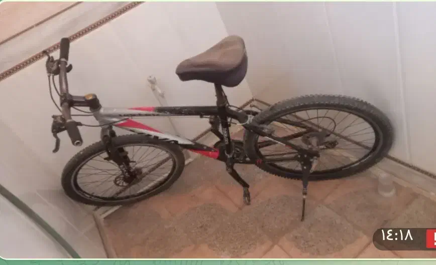 viva|دوچرخه، اسکیت، اسکوتر|یزد, |دیوار