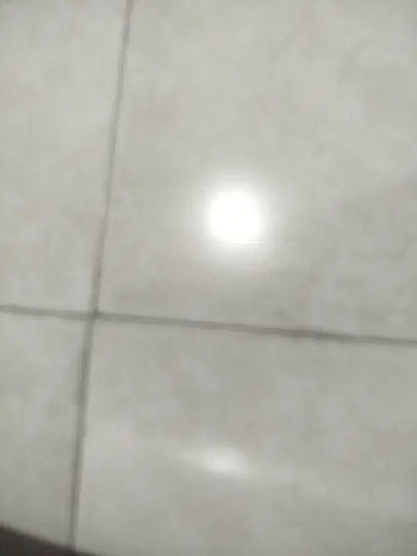 چار دیواری جهت اجاره|اجارهٔ دفتر صنعتی، کشاورزی، تجاری|ایرانشهر, |دیوار