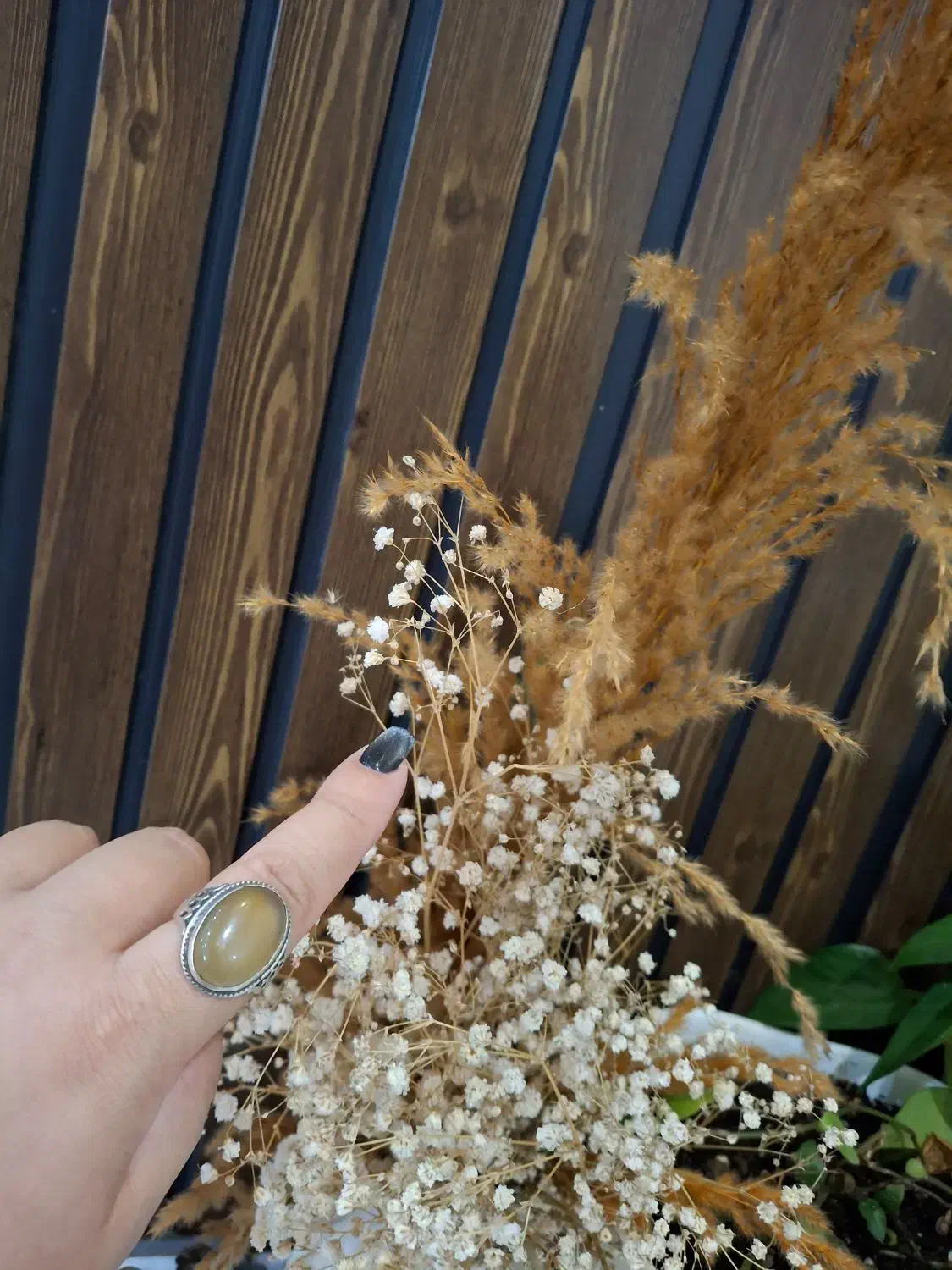 انگشتر نقره اصل شرف شمس و حقیق طرح دار و آیه دار|جواهرات|رشت, بازار|دیوار