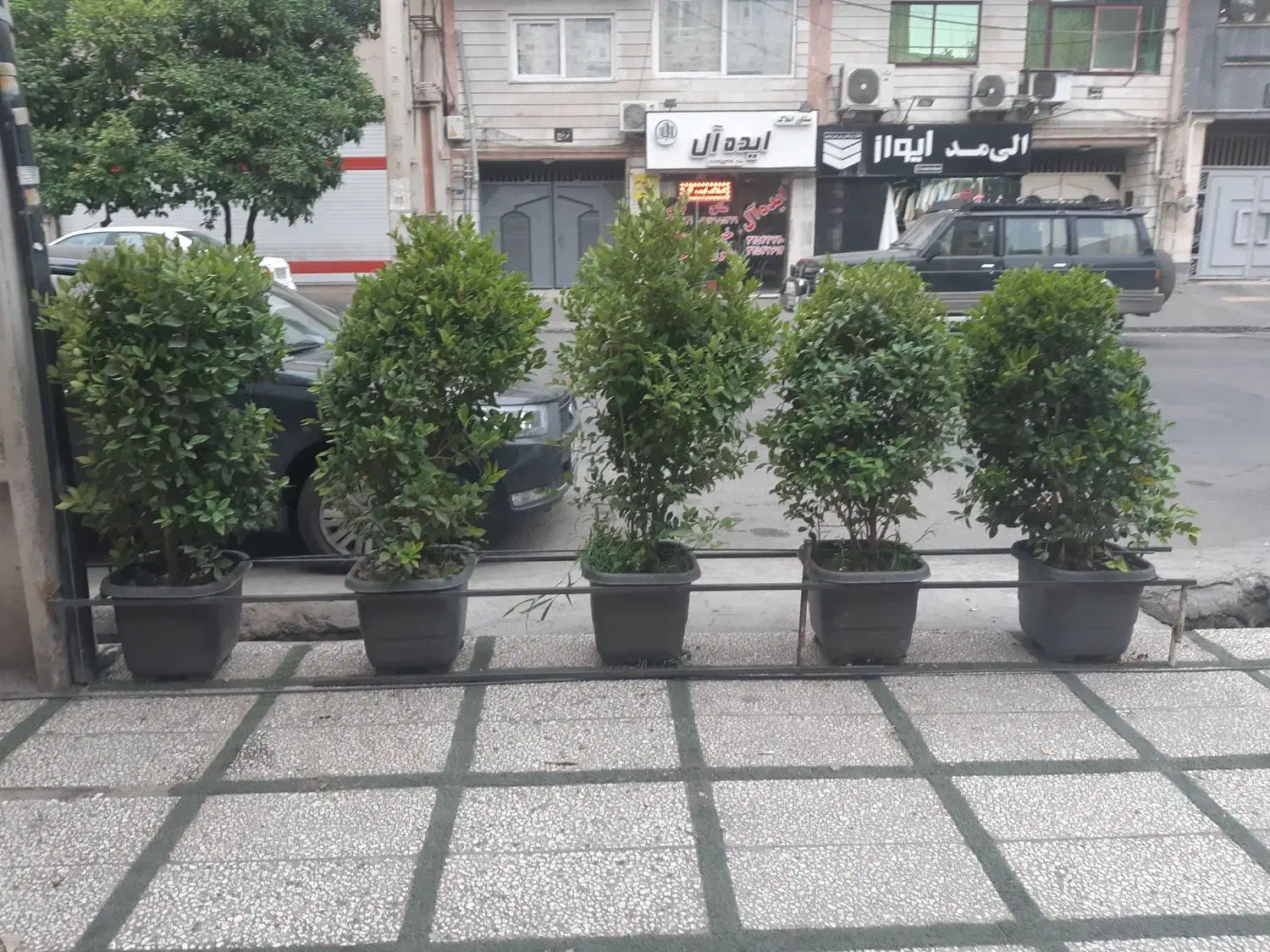 پیک موتوری|استخدام حمل و نقل|گرگان, |دیوار