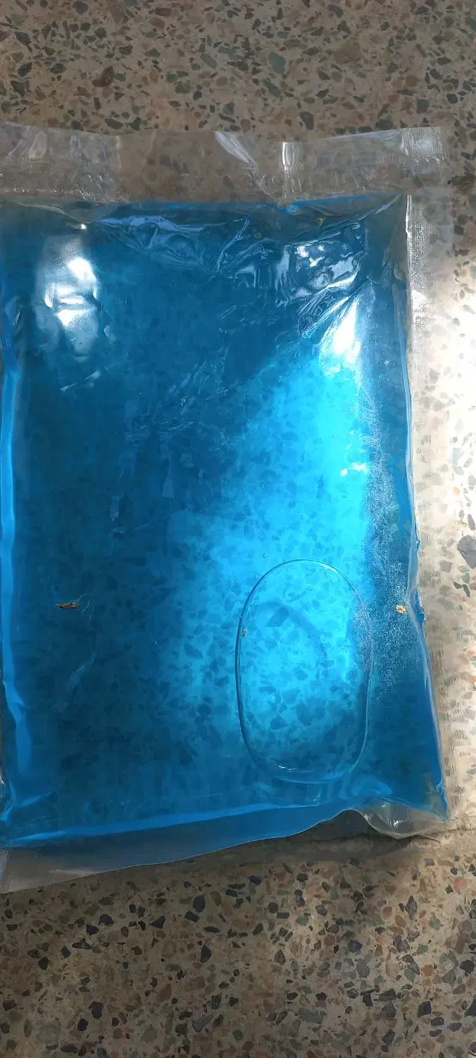 یخ ژله ای مسافرتی|ظروف نگهدارنده، پلاستیکی، یک‌بارمصرف|همدان, |دیوار