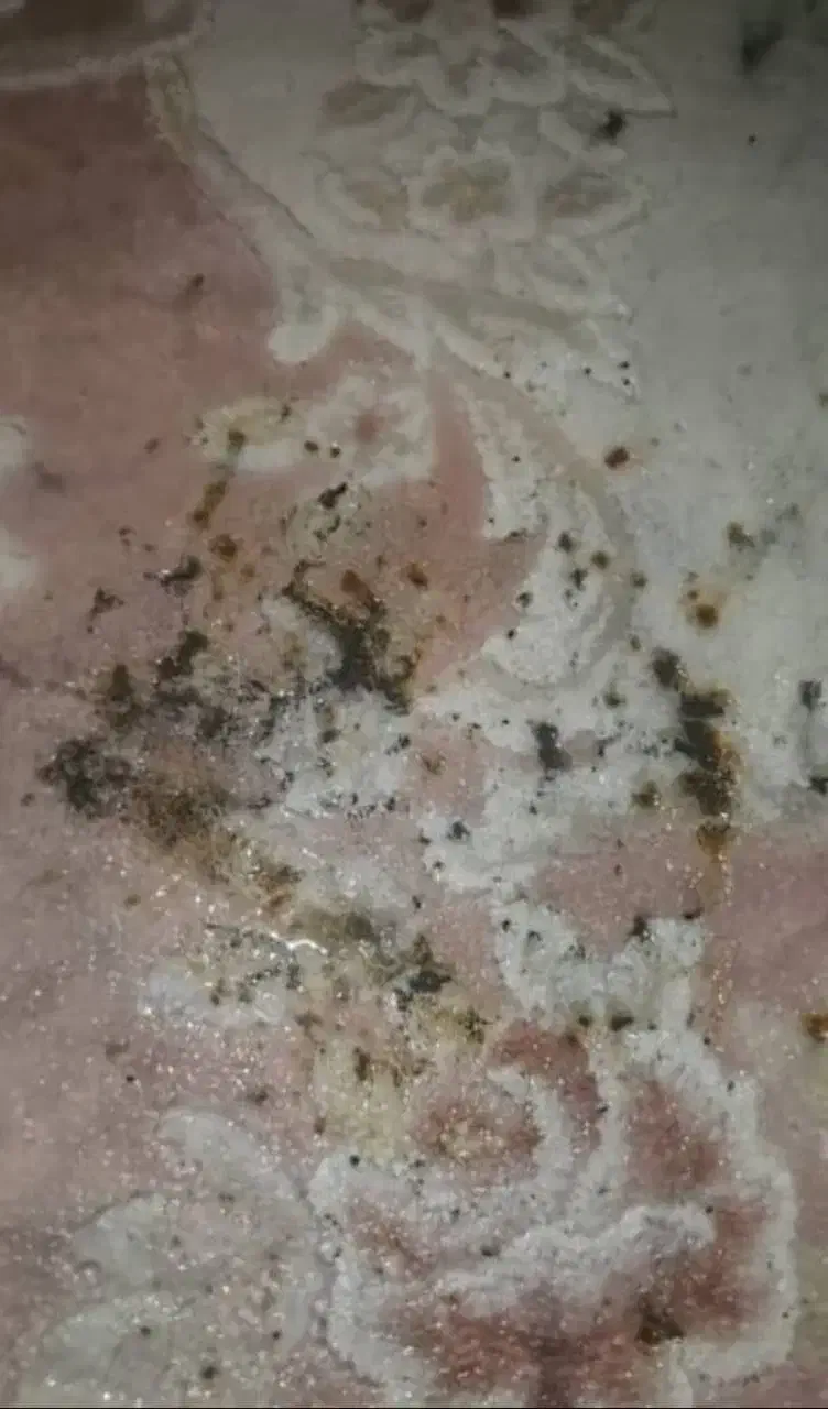 رفوکاری  تعمیرفرش رنگبرداری فرش و مبل در محل|خدمات پیشه و مهارت|شهریار, شهریار|دیوار