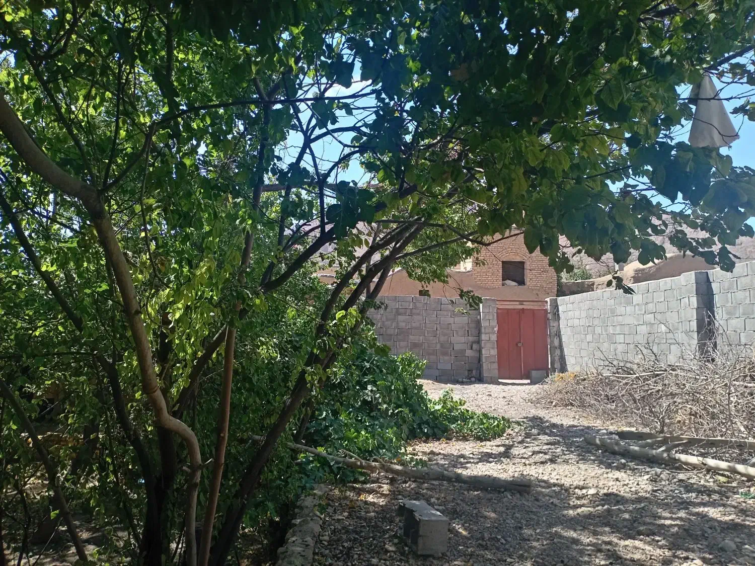 خانه باغ قدیمی نصراباد بعداز تفت واسلامیه|فروش خانه و ویلا|تفت, |دیوار