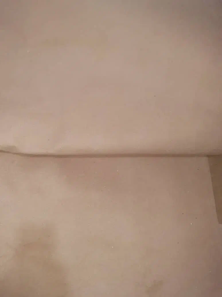 موکت سالم|موکت|رشت, نخودچر|دیوار