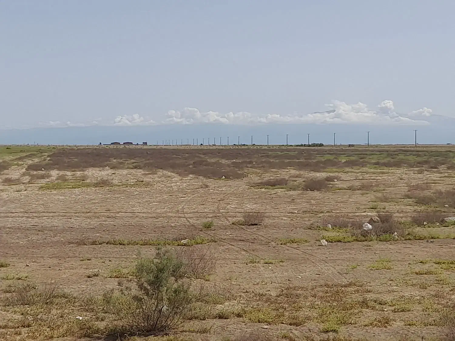 فروش زمین کشاورزی|فروش زمین و ملک کلنگی|آق قلا, |دیوار