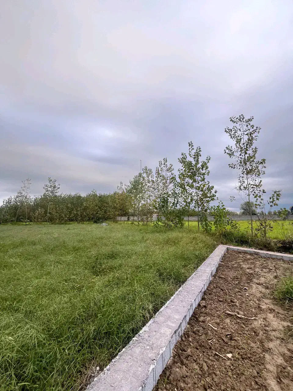 250متر زمین باغات داخل طرح هادی، بر آسفالت|فروش زمین و ملک کلنگی|صومعه‌سرا, |دیوار