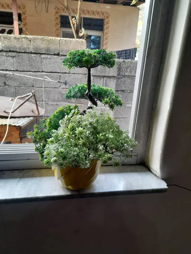 گل مصنوعی|گل مصنوعی|لاهیجان, طالقانی|دیوار