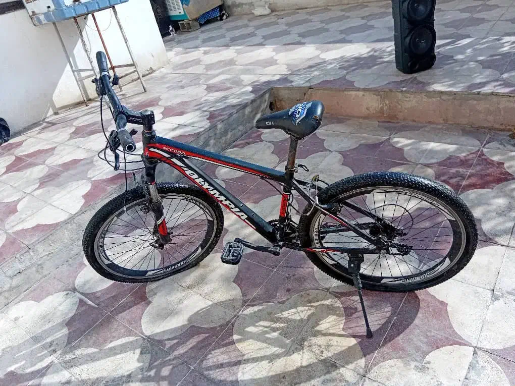 دوچرخه|دوچرخه، اسکیت، اسکوتر|شیراز, سلطان آباد|دیوار