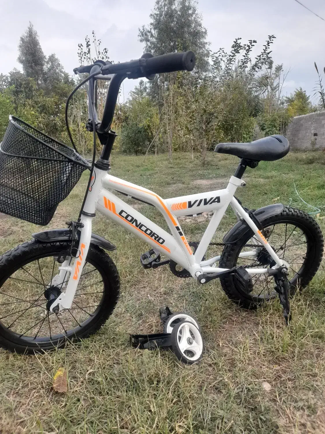 دوچرخه سایز۱۶|دوچرخه، اسکیت، اسکوتر|گنبد کاووس, |دیوار