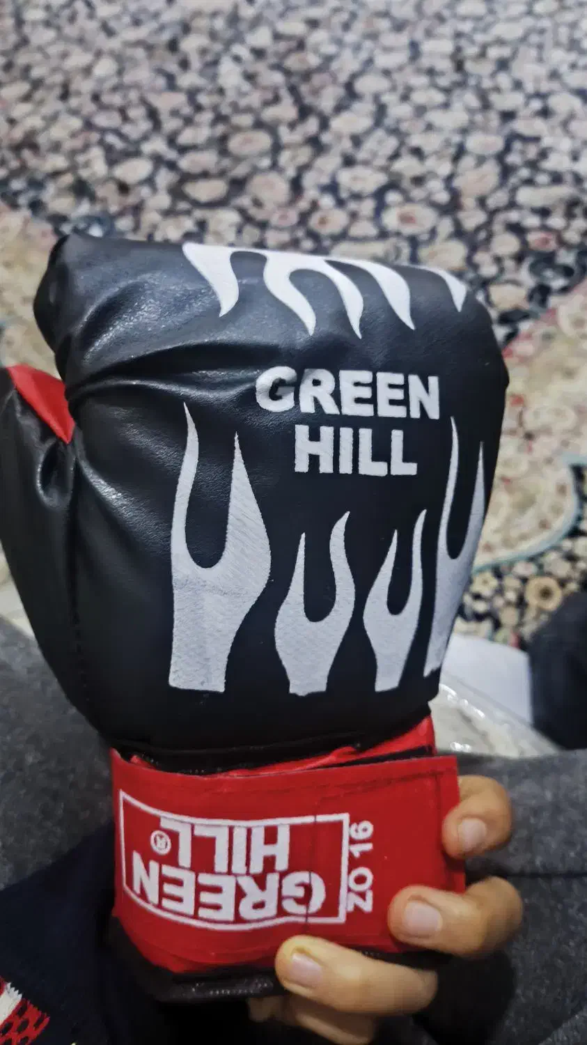 دستکش بوکس|تجهیزات ورزشی|ری, علایین|دیوار