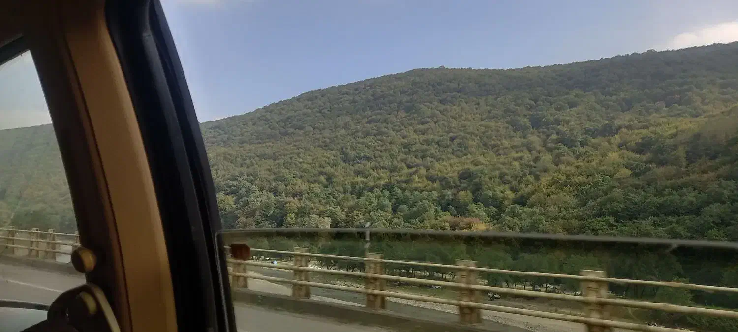 جایگزین تخت دانشجویی دختران بهار نارنج|اجارهٔ کوتاهمدت آپارتمان و سوئیت|رشت, شهرک شهید رجایی|دیوار