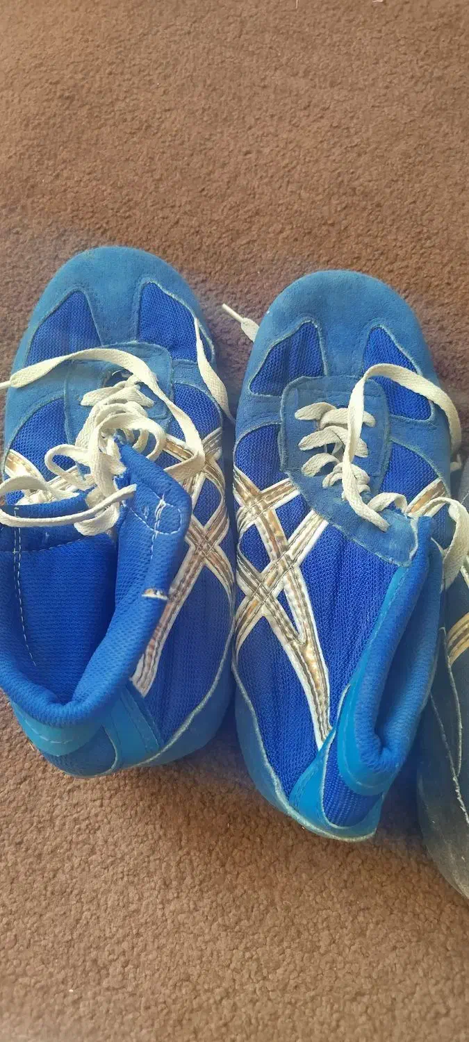 کفش کشتی|کیف، کفش، کمربند|کوهدشت, |دیوار