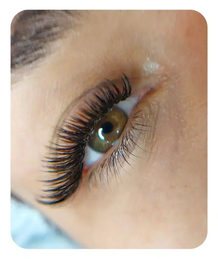 آموزش تخصصی اکستنشن و لیفت مژه/پولسازی تاعید/اقساط|خدمات آرایشگری و زیبایی|بم, |دیوار