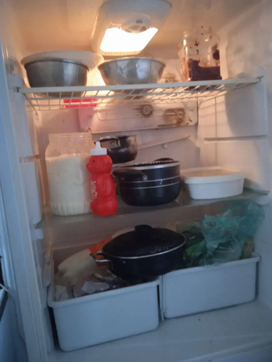 یخچال فریزر|یخچال و فریزر|شیراز, گویم|دیوار