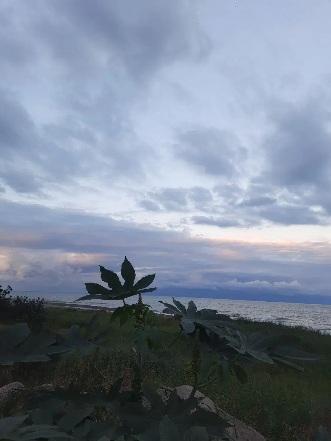 ۳۲۳۹۵۳۰۰|تلفن رومیزی|بابل, |دیوار