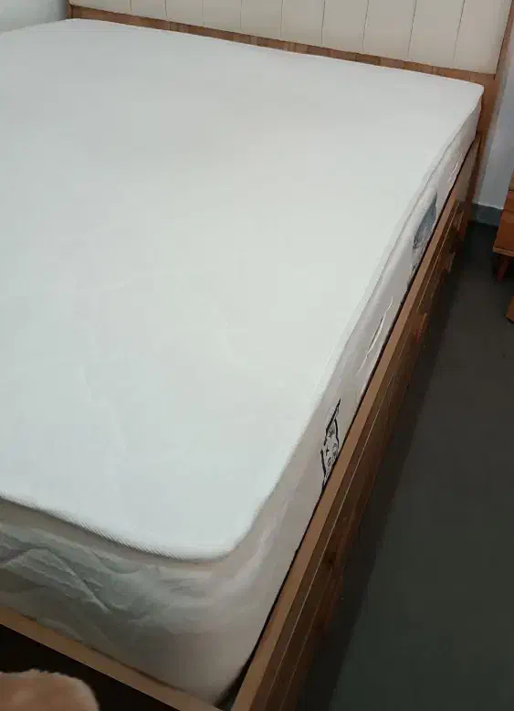 تشک سالم|تشک تختخواب|نظرآباد, نظرآباد|دیوار