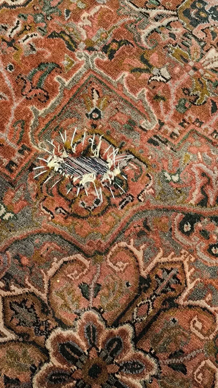 چند تخته فرش دستباف|فرش|تهران, نظامی گنجوی (توانیر)|دیوار