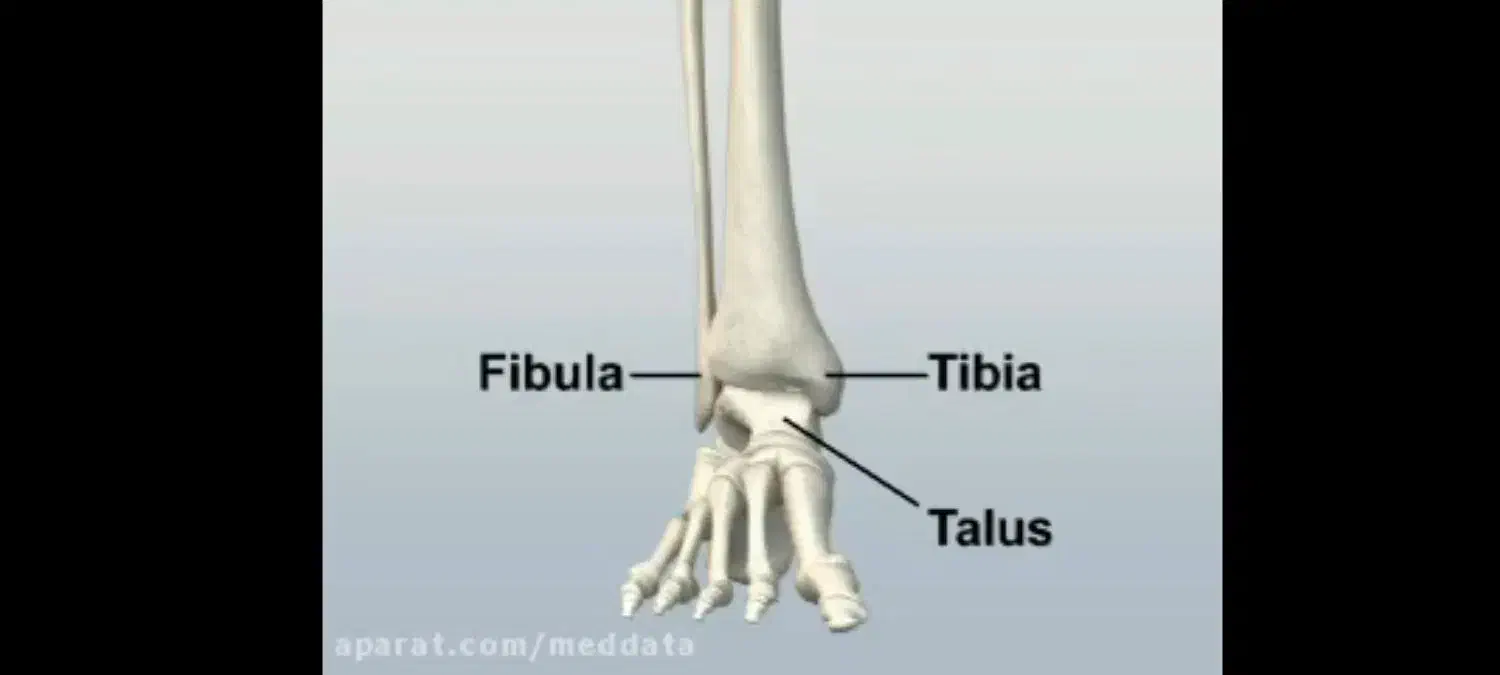 شکسته بند.دررفتگی. حجامت فصدناف زالو خانم و آقا|خدمات آرایشگری و زیبایی|قم, شهرک مهدیه|دیوار
