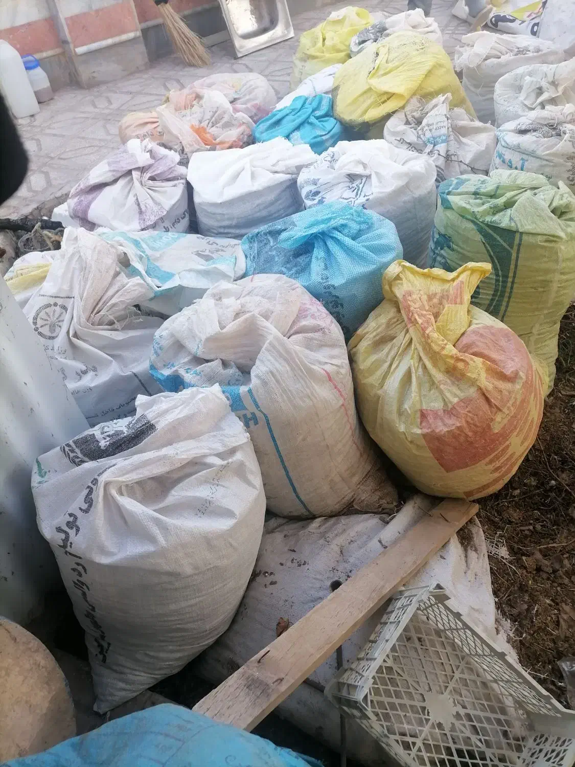 کبوتر|سگ|اسفراین, |دیوار