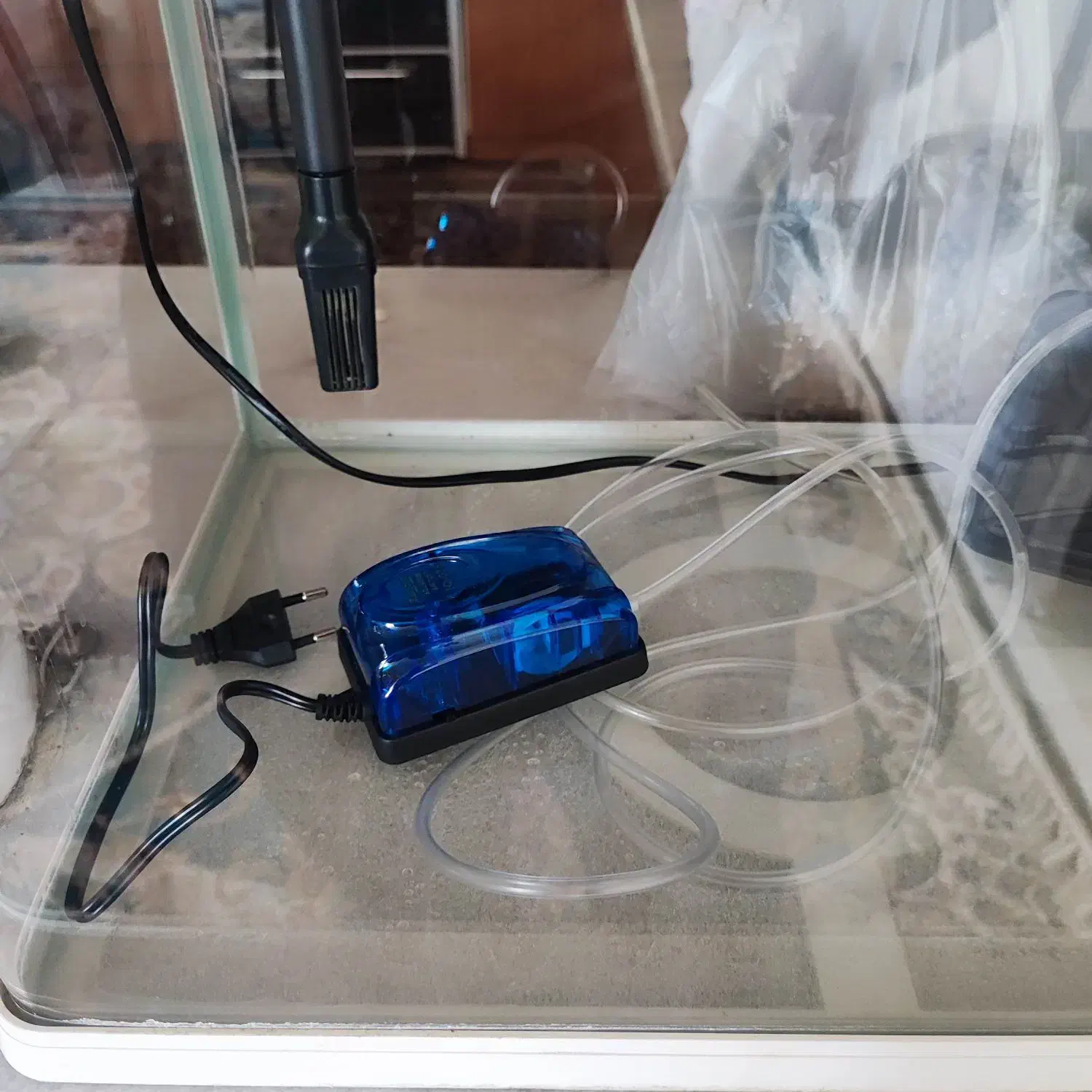 آکواریوم شرکتی دلسا|ماهی|اصفهان, برازنده|دیوار