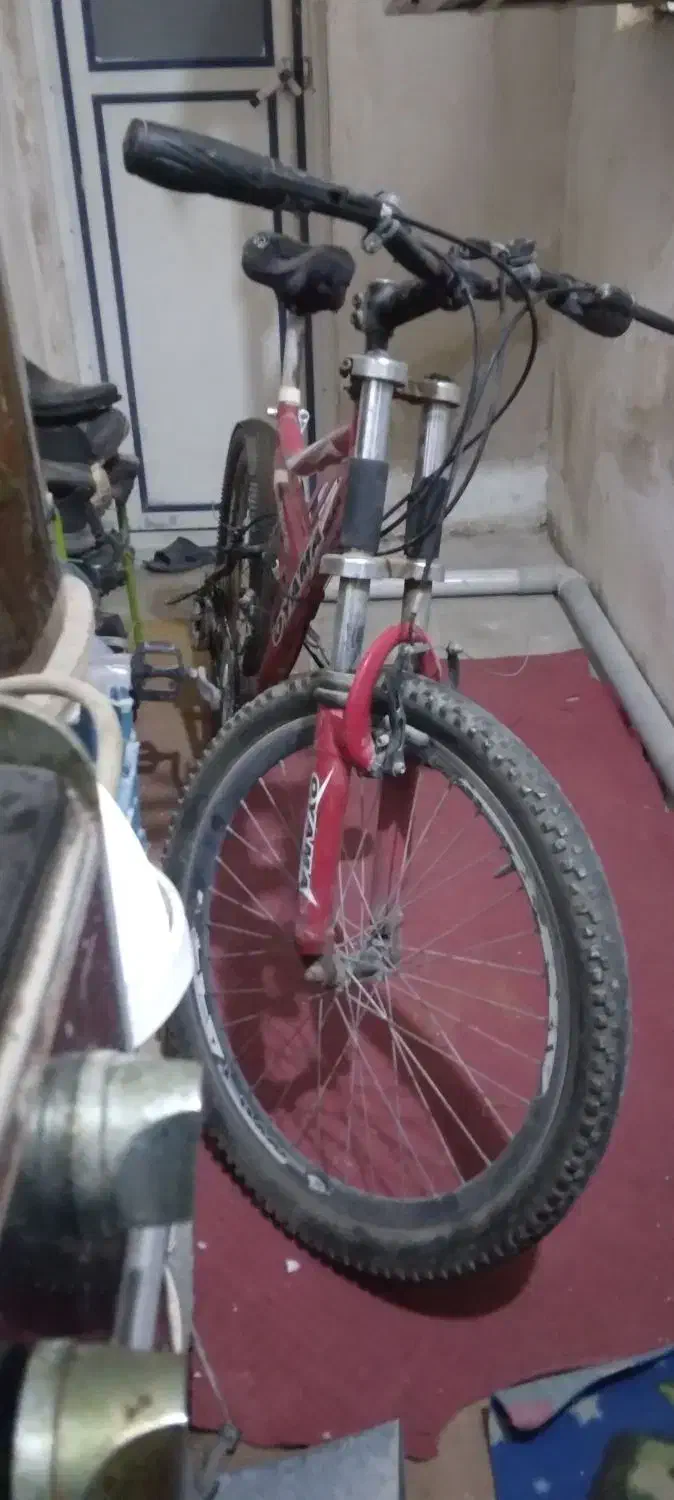 دوچرخه 24|دوچرخه، اسکیت، اسکوتر|بوشهر, |دیوار