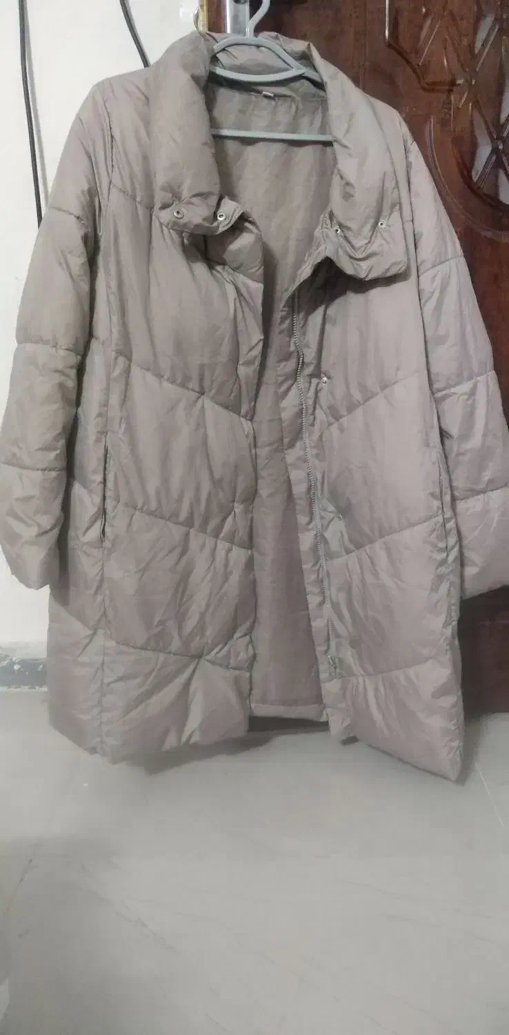 پالتو|لباس|بم, |دیوار