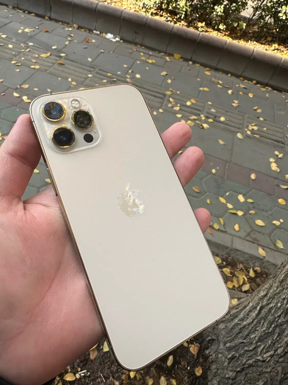 آیفون ۱۲ پرومکس ۲۵۶گیگ|موبایل|تبریز, |دیوار