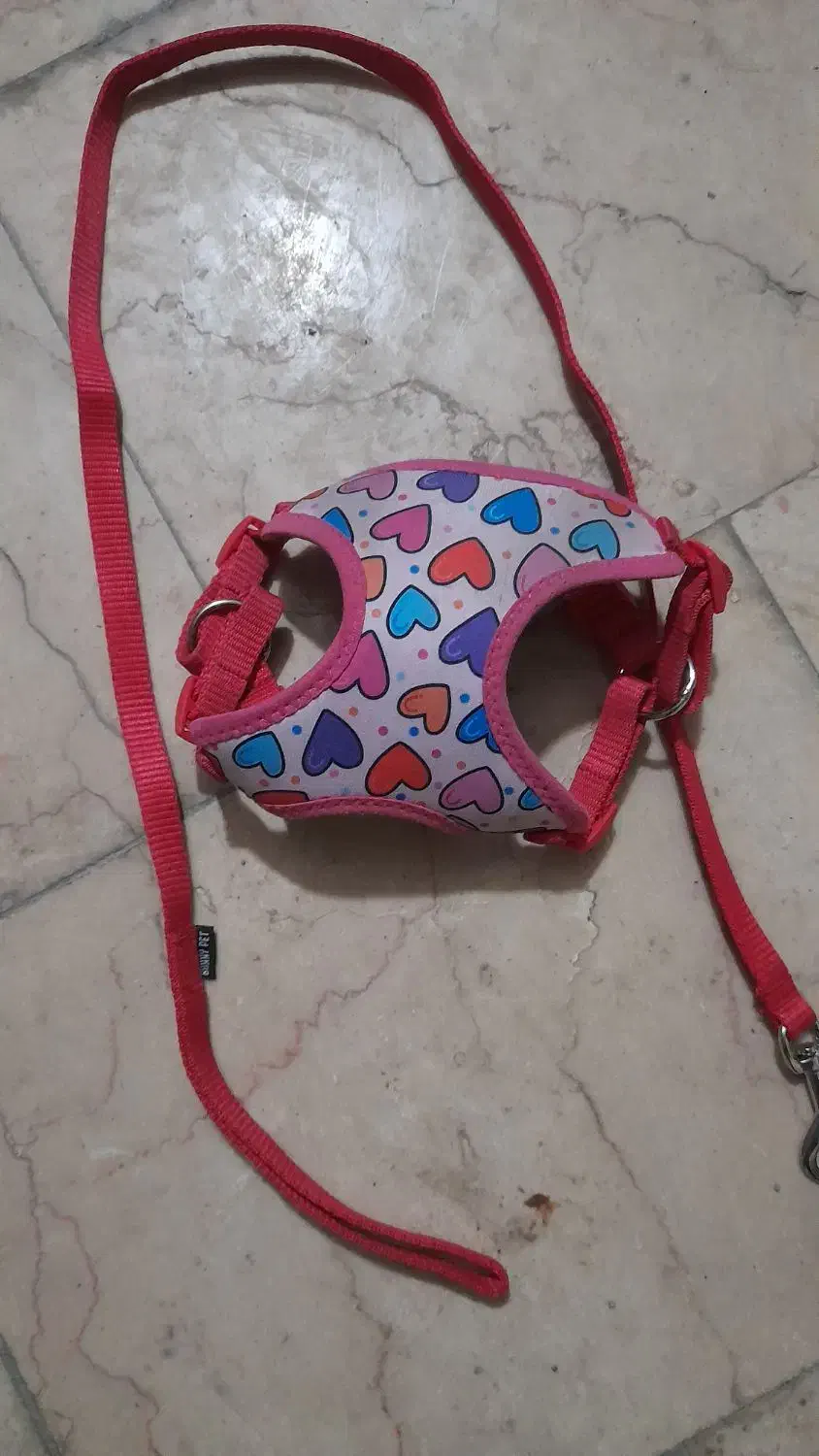 قلاده کتفی سگ پاکوتا سایزM|لوازم جانبی حیوانات|آمل, |دیوار