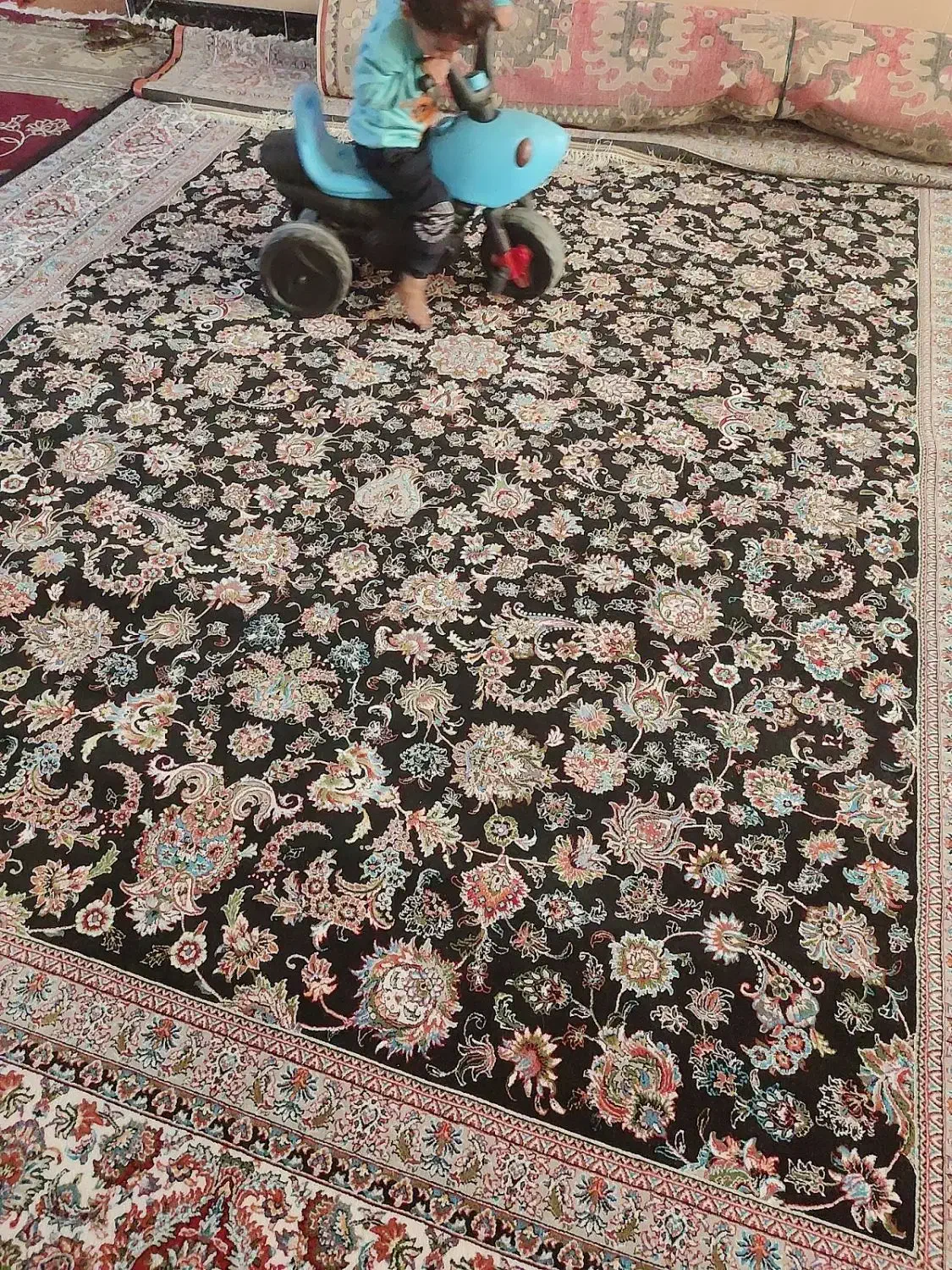 فرش|فرش|یاسوج, |دیوار