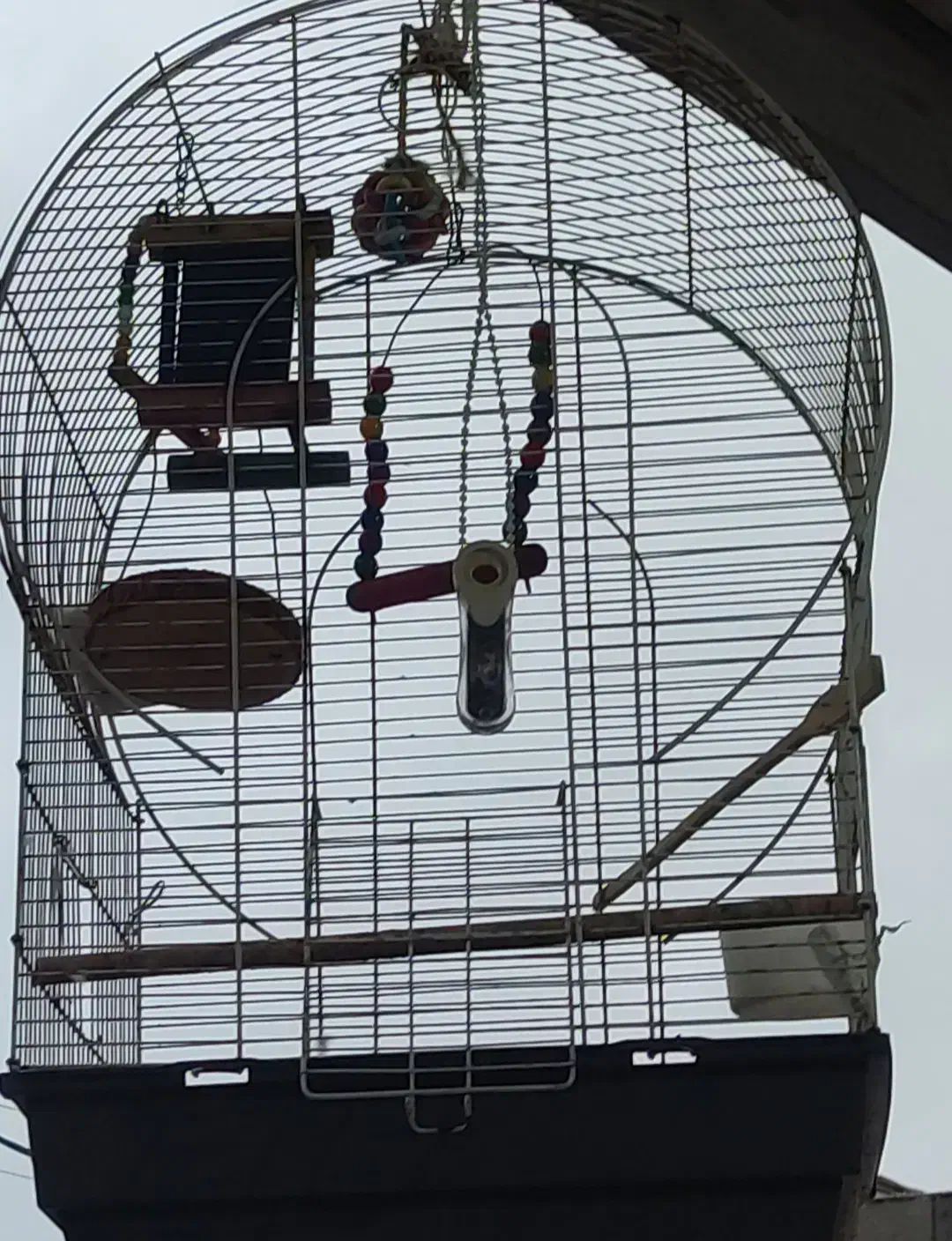 قفس|لوازم جانبی حیوانات|بندرعباس, |دیوار