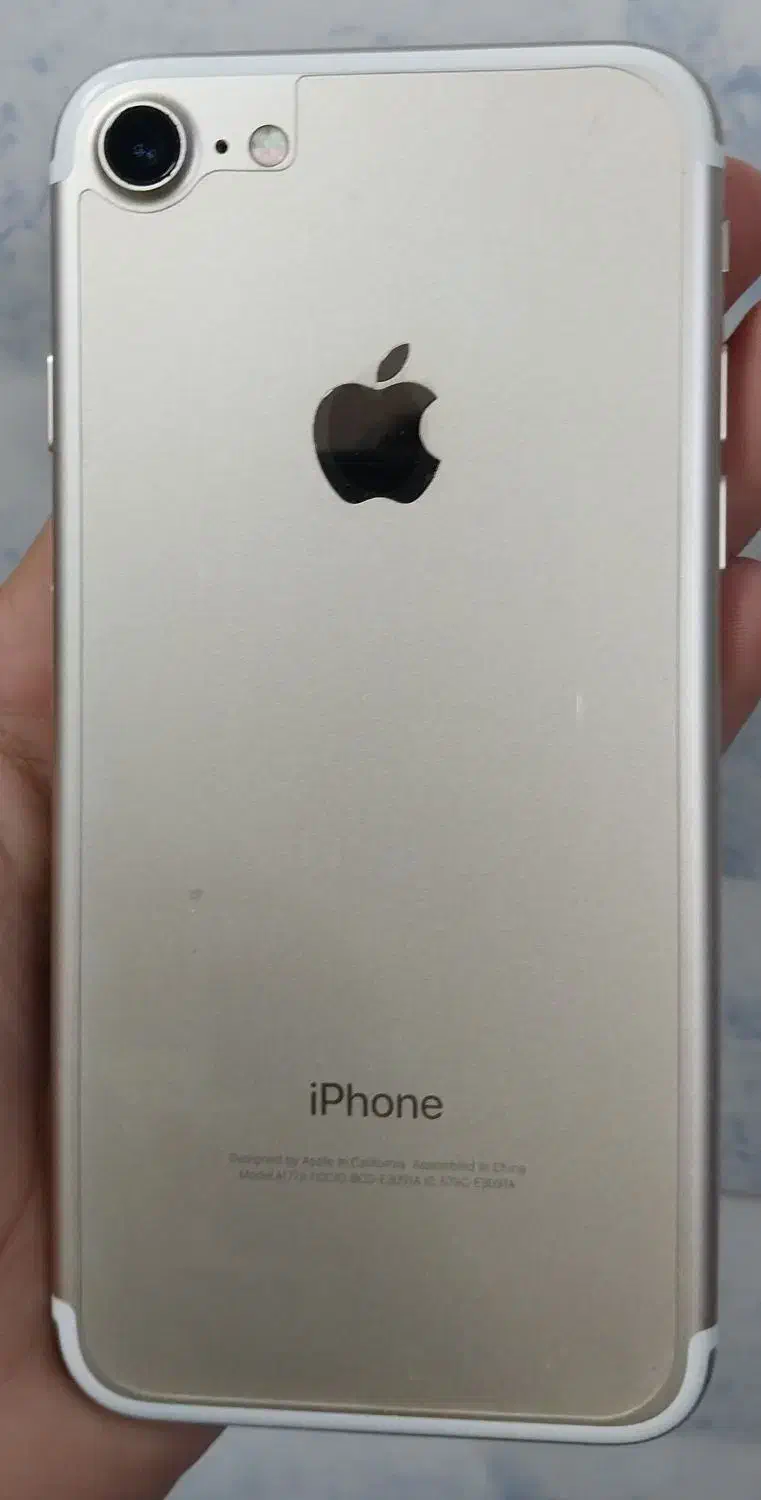 آیفون 7 گلد|موبایل|کاشمر, |دیوار