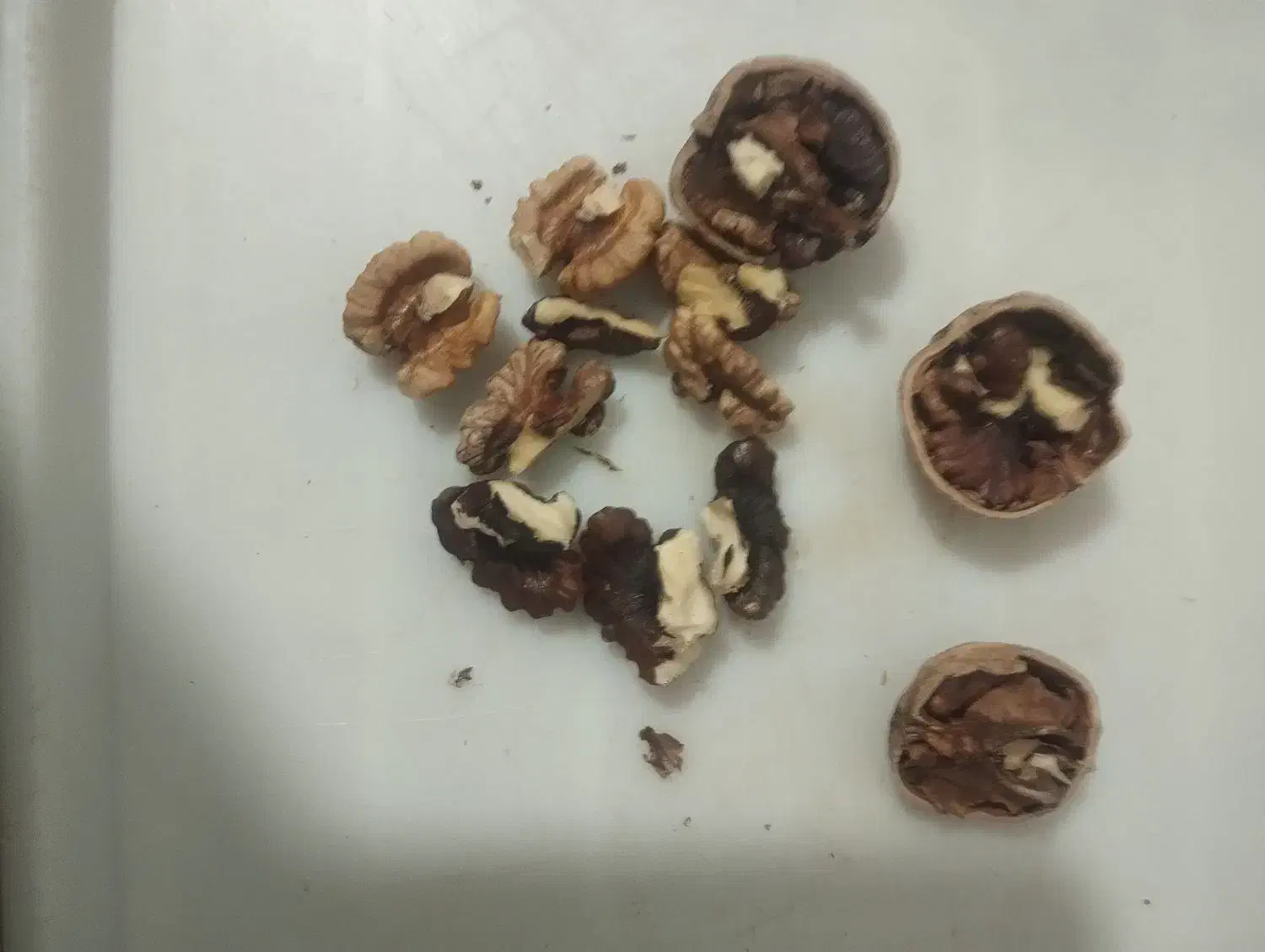 گردو|خوردنی و آشامیدنی|نیشابور, مازول|دیوار