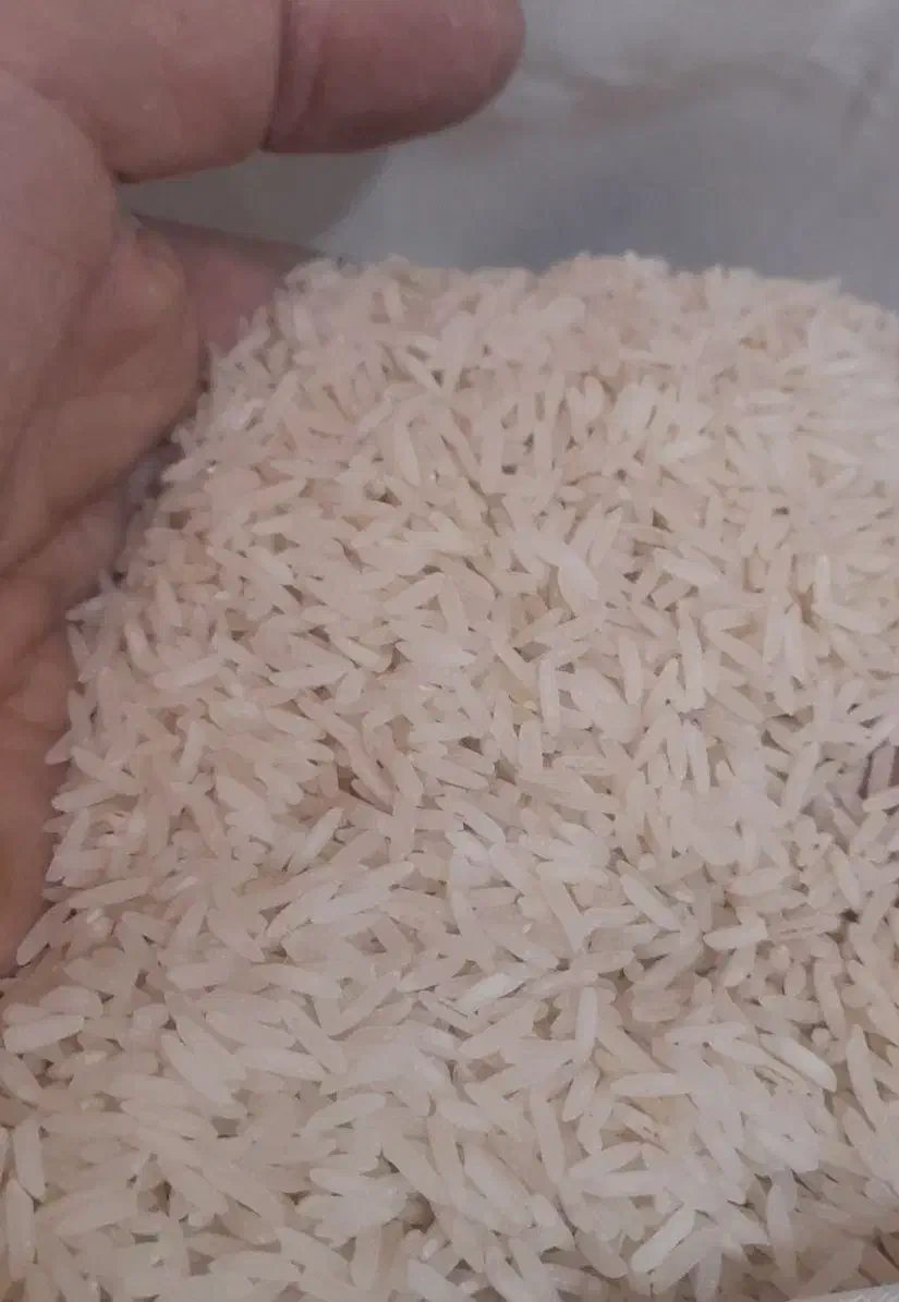 برنج فوق اعلا از مزارع گیلان .ماسال شاندرمن.|خوردنی و آشامیدنی|محمدشهر, سیدآباد|دیوار