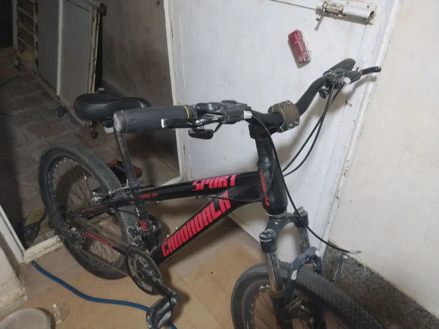 دوچرخه 24|دوچرخه، اسکیت، اسکوتر|سیرجان, |دیوار