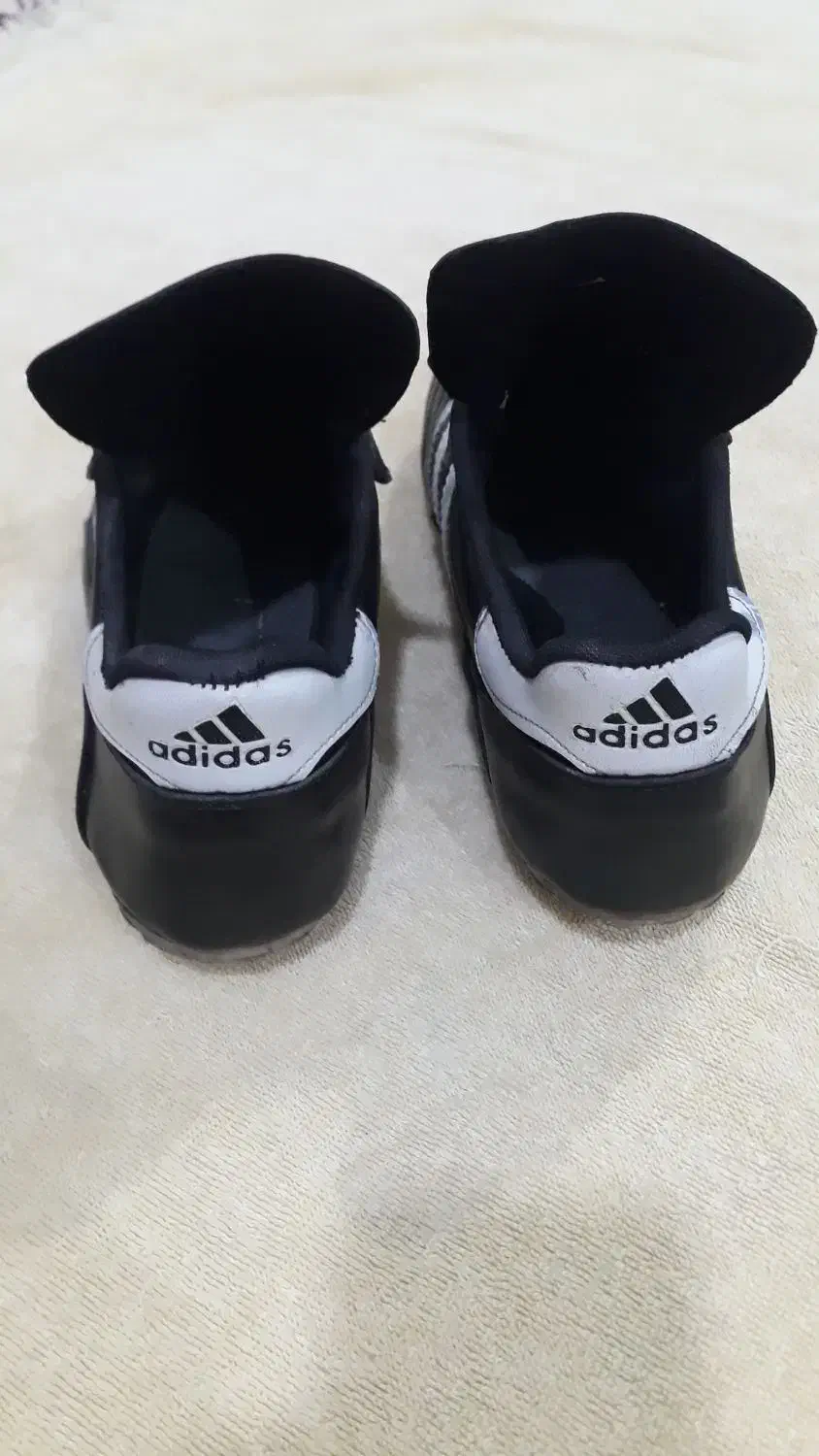 کفش ورزشی|کیف، کفش، کمربند|آبادان, |دیوار