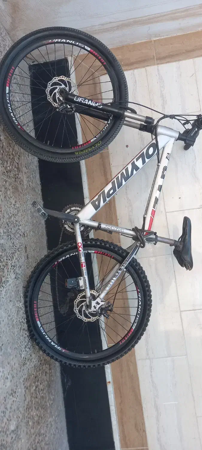 دوچرخه اولمپیا|دوچرخه، اسکیت، اسکوتر|چغادک, |دیوار