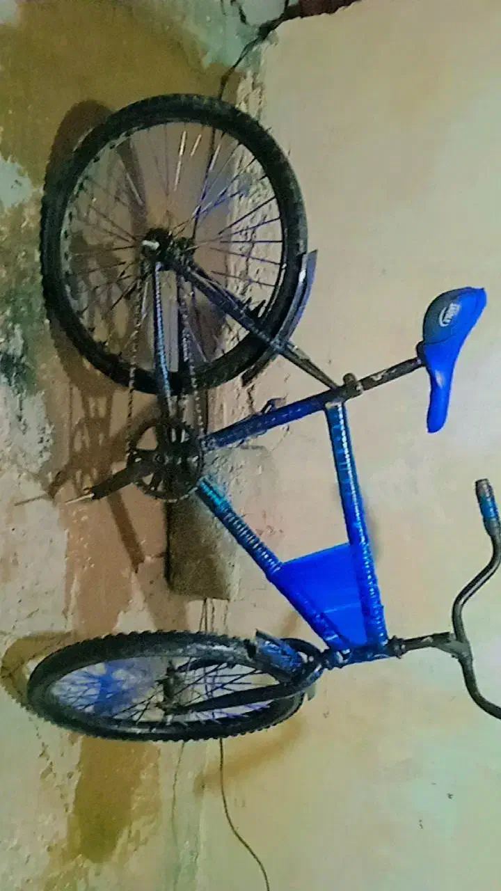 دوچرخه 24|دوچرخه، اسکیت، اسکوتر|ایرانشهر, |دیوار