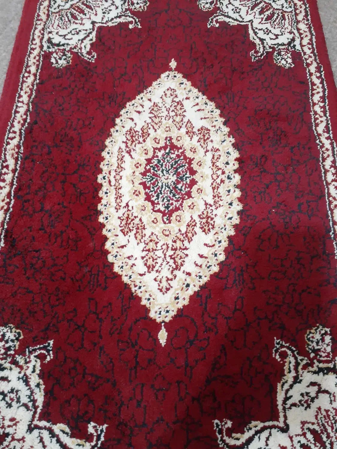 پادری فرش|پادری|بندرعباس, |دیوار