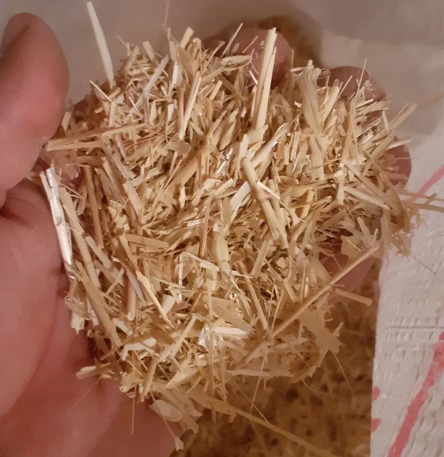 کاه گندم|عمده‌فروشی|شهرکرد, |دیوار